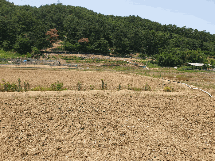경상북도 구미시 산동읍 적림리 431-1 답 경매 물건 사진