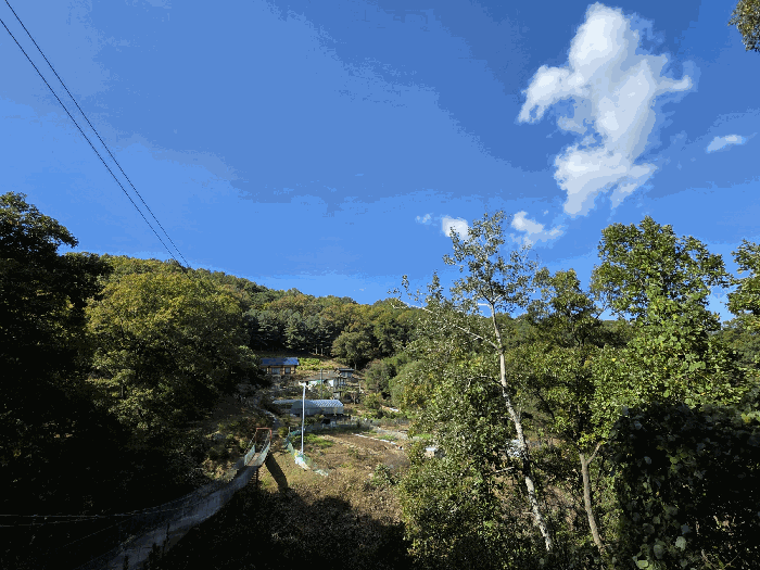 경상북도 김천시 부곡동 산58-1 임야 경매 물건 사진