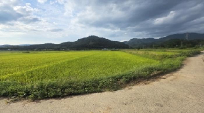 경북 구미시 해평면 답 경매 물건 사진 4 · 2025타경475