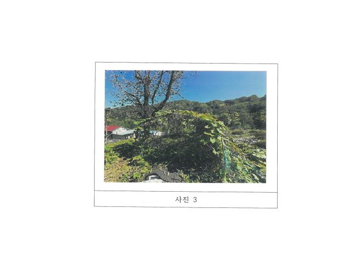 경북 김천시 지례면 대지 경매 물건 사진