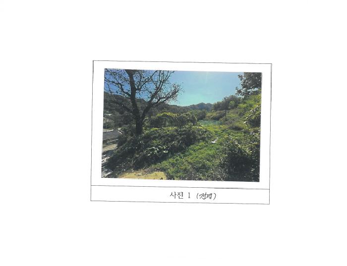 경북 김천시 지례면 대지 경매 물건 사진 2 · 2025타경486