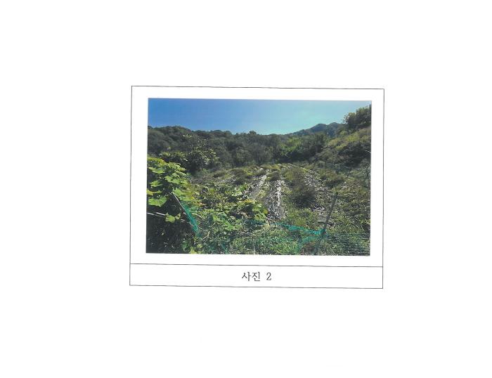 경북 김천시 지례면 대지 경매 물건 사진 3 · 2025타경486