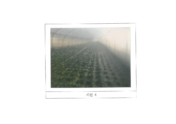 경북 김천시 조마면 답 경매 물건 사진 3 · 2026타경1