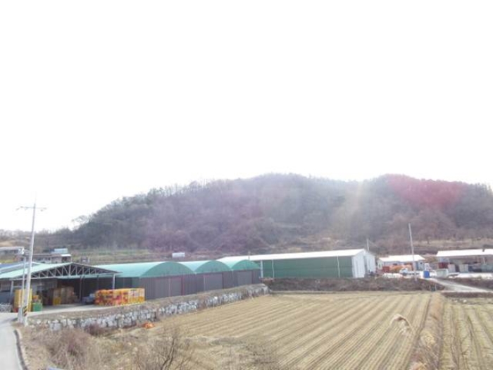 경북 상주시 외남면 임야 경매 물건 사진 4 · 2024타경1981