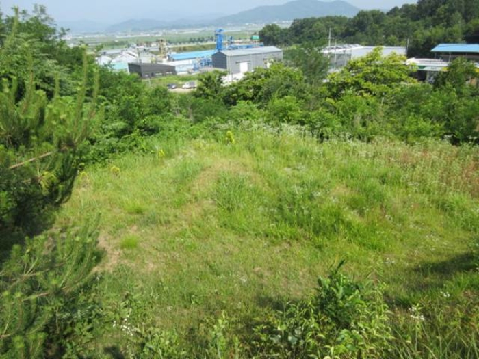 경북 상주시 사벌국면 답 경매 물건 사진