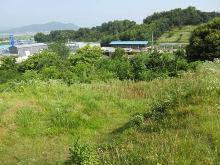 경북 상주시 사벌국면 답 경매 물건 사진 2 · 2024타경71362