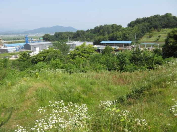 경북 상주시 사벌국면 답 경매 물건 사진 3 · 2024타경71362