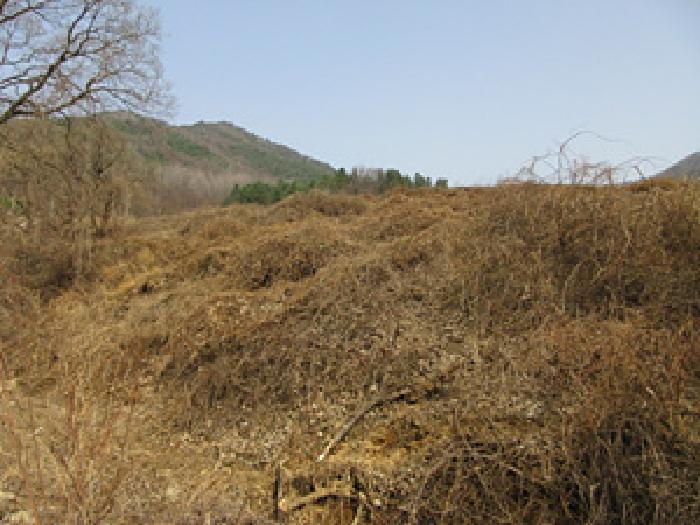 경북 문경시 농암면 전 경매 물건 사진 3 · 2025타경136