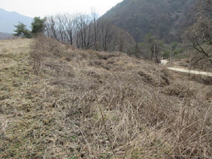 경북 문경시 농암면 전 경매 물건 사진 4 · 2025타경136