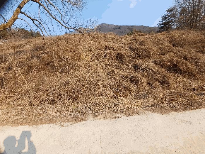경북 문경시 농암면 전 경매 물건 사진 6 · 2025타경136