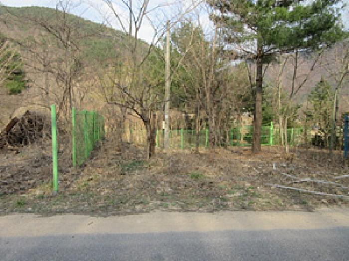경북 문경시 농암면 답 경매 물건 사진 6 · 2025타경147