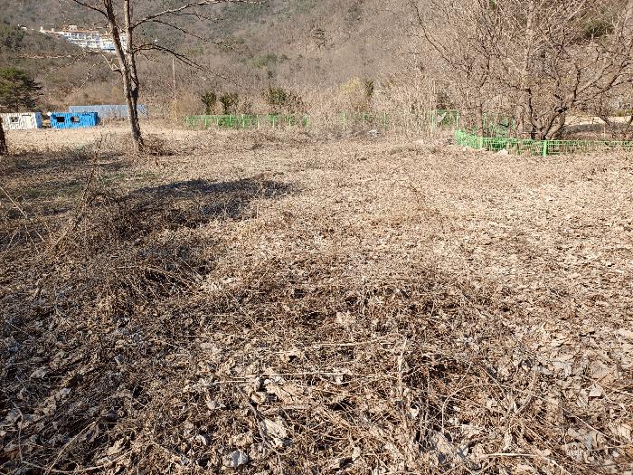 경북 문경시 농암면 답 경매 물건 사진 3 · 2025타경147