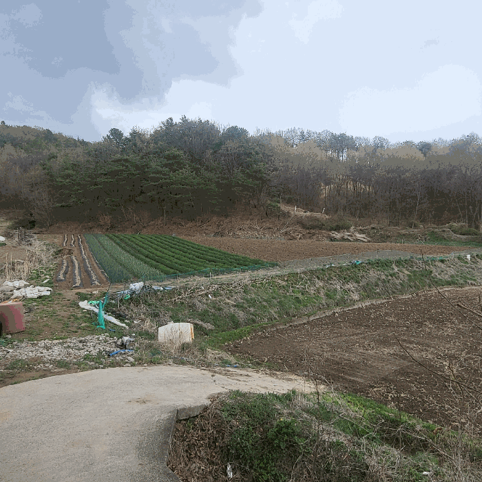 경상북도 예천군 지보면 송평리 186 전 경매 물건 사진