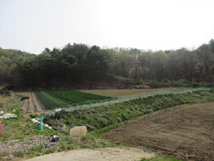 경북 예천군 지보면 전 경매 물건 사진