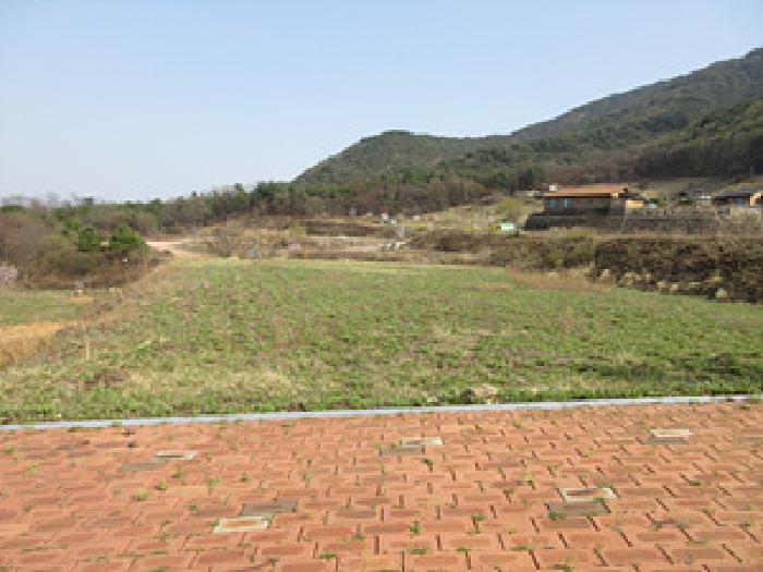 경북 상주시 은척면 대지 경매 물건 사진