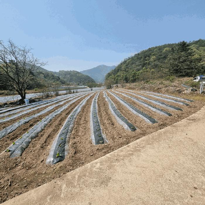 경북 문경시 농암면 전 경매 물건 사진 2 · 2025타경158