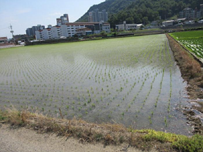 경북 문경시 흥덕동 답 경매 물건 사진