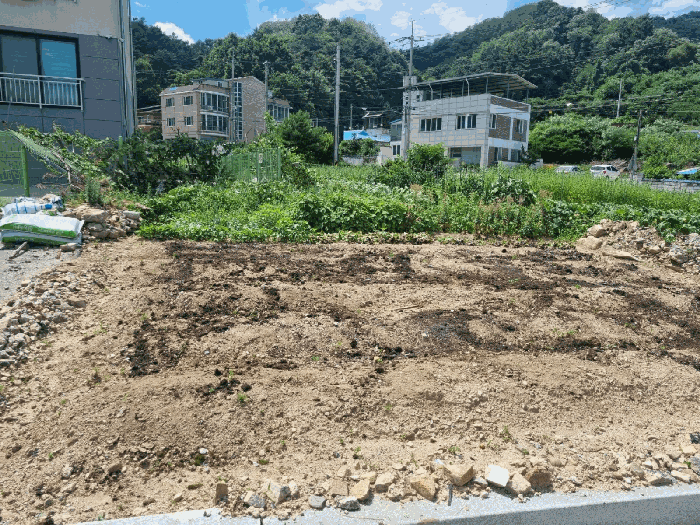 경상북도 문경시 문경읍 상리 480-5 전 경매 물건 사진
