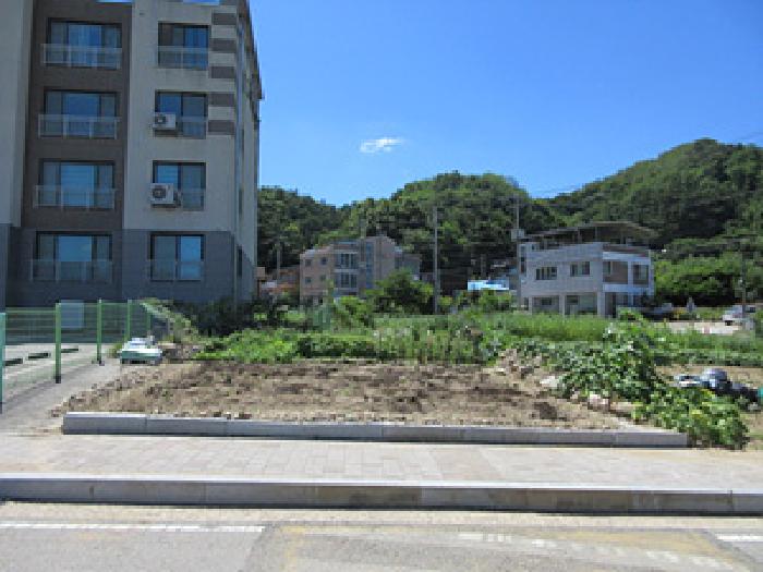 경북 문경시 문경읍 전 경매 물건 사진