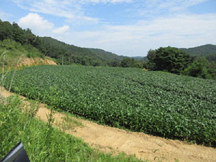 경북 문경시 영순면 전답 경매 물건 사진
