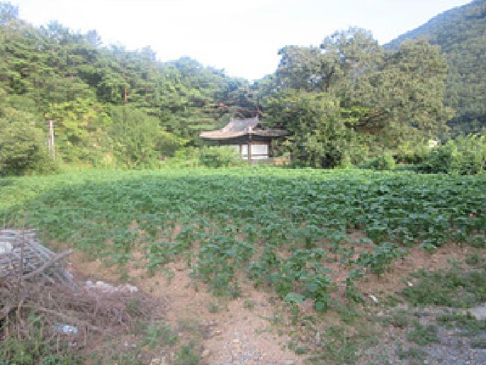 경북 상주시 화북면 전답 경매 물건 사진 2 · 2025타경212
