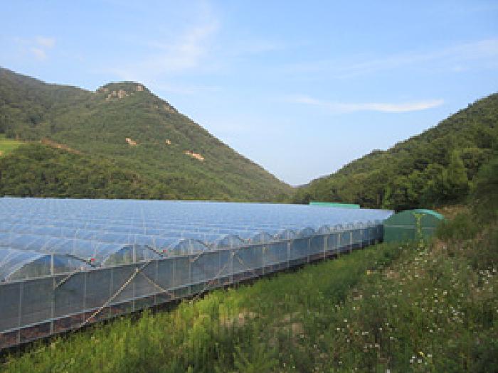 경북 상주시 화북면 전답 경매 물건 사진 5 · 2025타경212