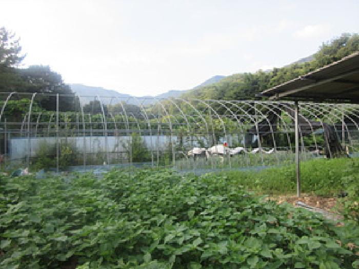 경북 상주시 화북면 전답 경매 물건 사진