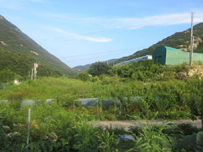 경북 상주시 화북면 전답 경매 물건 사진 6 · 2025타경214