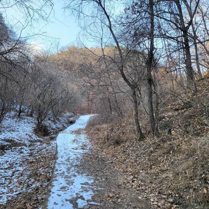 경상북도 예천군 호명읍 원곡리 336 전 경매 물건 사진