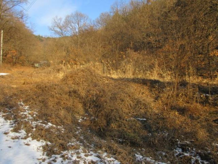 경북 예천군 호명읍 전 경매 물건 사진