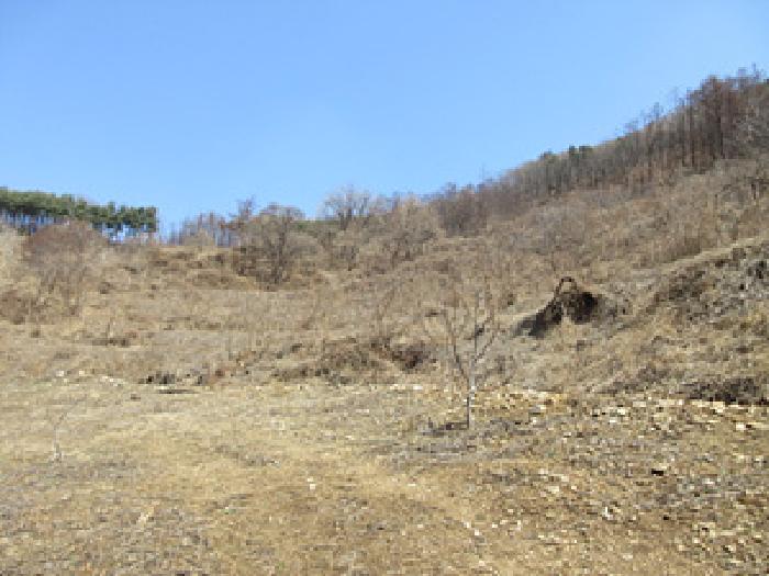 경북 예천군 효자면 전 경매 물건 사진 2 · 2025타경5240
