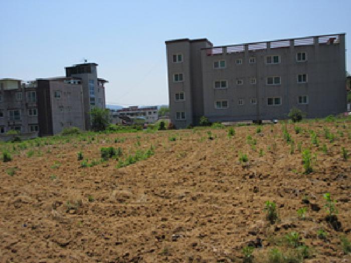 경북 예천군 예천읍 전 경매 물건 사진