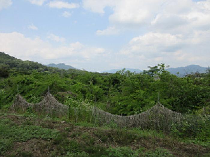 경북 상주시 공성면 답 경매 물건 사진 3 · 2025타경5329