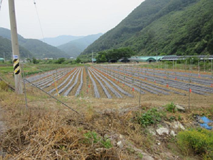 경북 문경시 마성면 답 경매 물건 사진