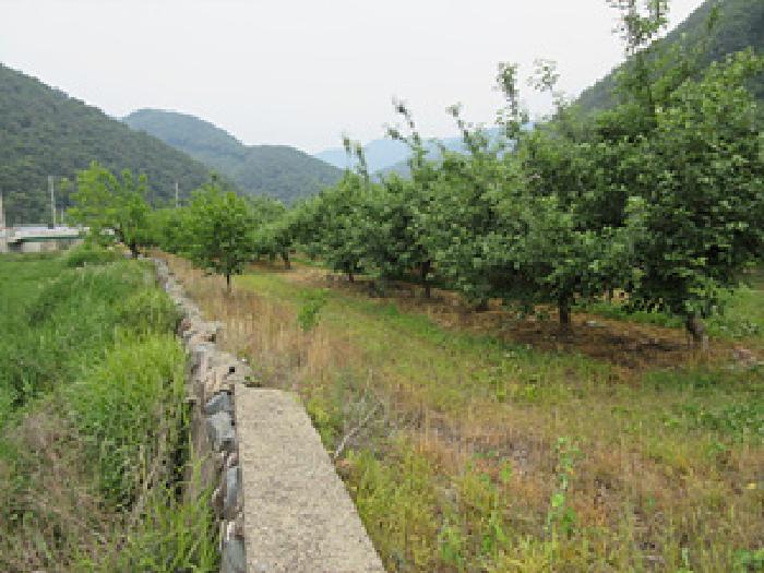 경북 문경시 마성면 답 경매 물건 사진 2 · 2025타경5339
