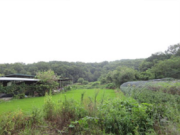 경북 예천군 지보면 임야 경매 물건 사진 2 · 2025타경5357