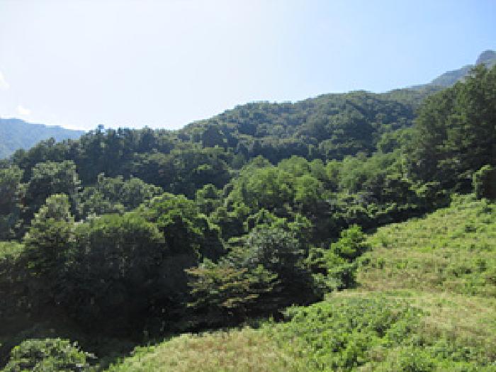 경북 문경시 농암면 전 경매 물건 사진 5 · 2025타경5370