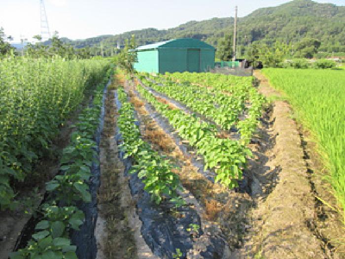 경북 상주시 내서면 답 경매 물건 사진 5 · 2025타경5373