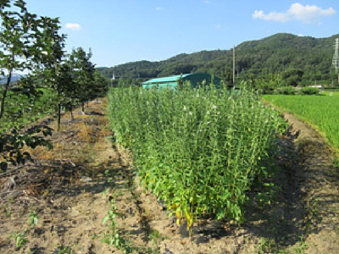 경북 상주시 내서면 답 경매 물건 사진 6 · 2025타경5373