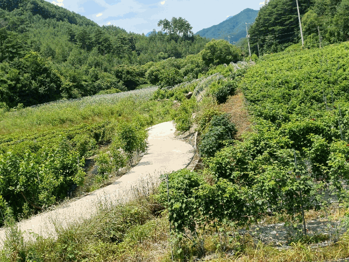 경북 문경시 동로면 답 경매 물건 사진 6 · 2025타경5376