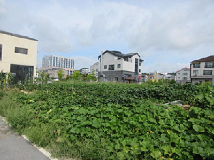 경북 예천군 호명읍 대지 경매 물건 사진 2 · 2025타경5385
