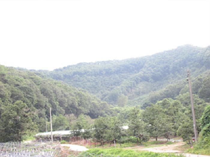 경북 상주시 모동면 임야 경매 물건 사진 2 · 2025타경5394