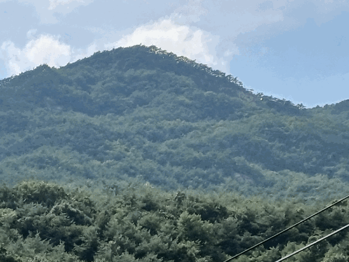 경북 상주시 화북면 임야 경매 물건 사진 5 · 2025타경5405