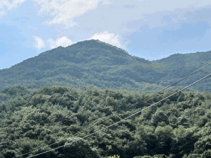 경북 상주시 화북면 임야 경매 물건 사진 6 · 2025타경5405