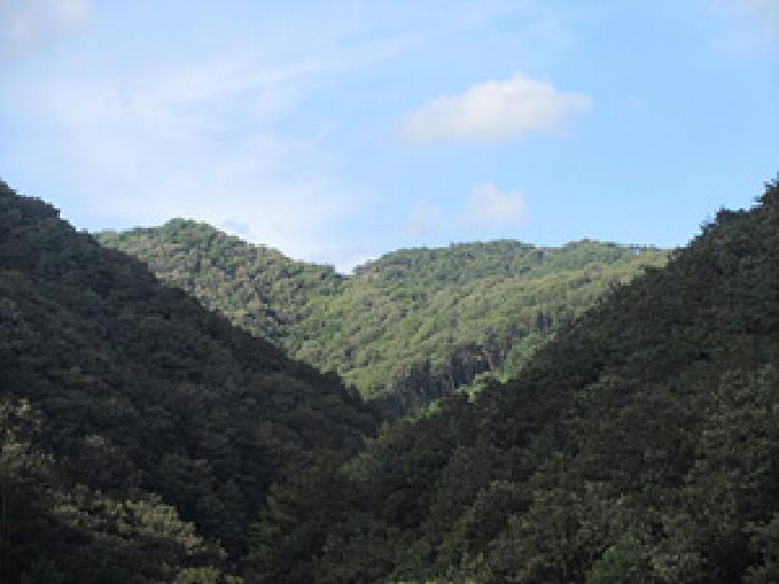 경북 상주시 화북면 임야 경매 물건 사진