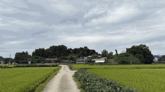 경북 문경시 윤직동 전답 경매 물건 사진 4 · 2025타경5409