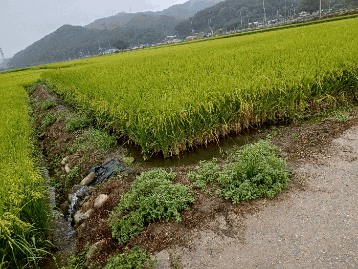경북 문경시 산북면 전답 경매 물건 사진 5 · 2025타경5422