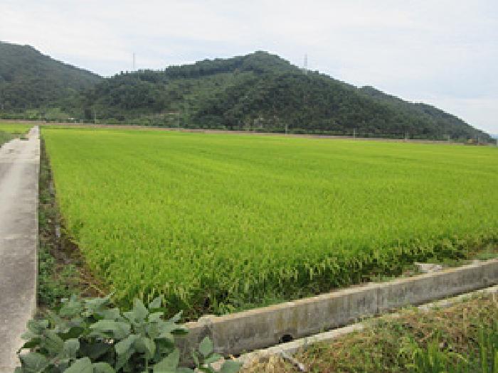 경북 문경시 산북면 전답 경매 물건 사진