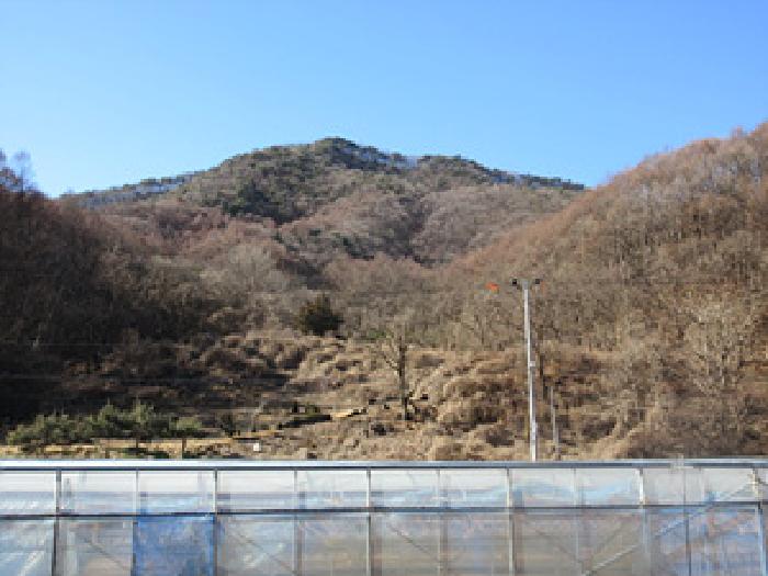 경북 상주시 화서면 전답 경매 물건 사진