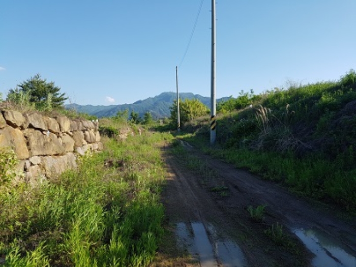 대구 군위군 산성면 전답 경매 물건 사진